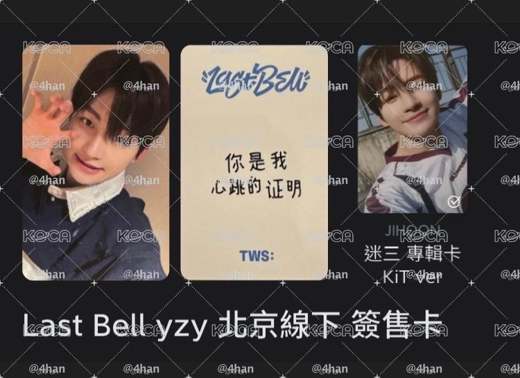 🪼中文卡背 你是我心跳的證明 捆圖上專卡