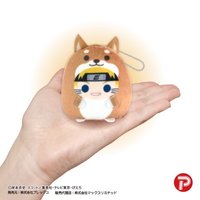 てのりんずコレクション
