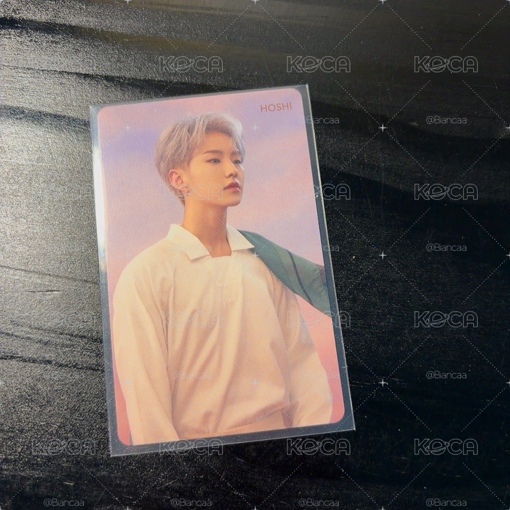 seventeen HMV 落花 特典 Hoshi 榮