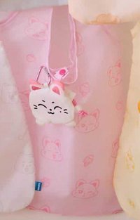 ENCHIN KISHU 購物袋 