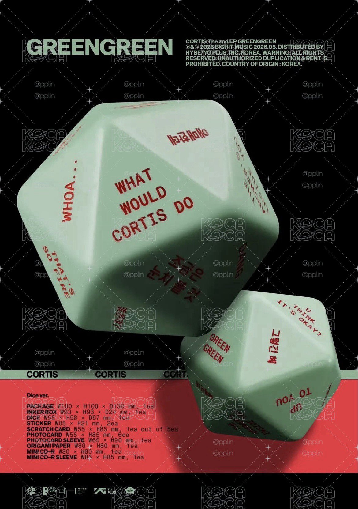骰子專全專