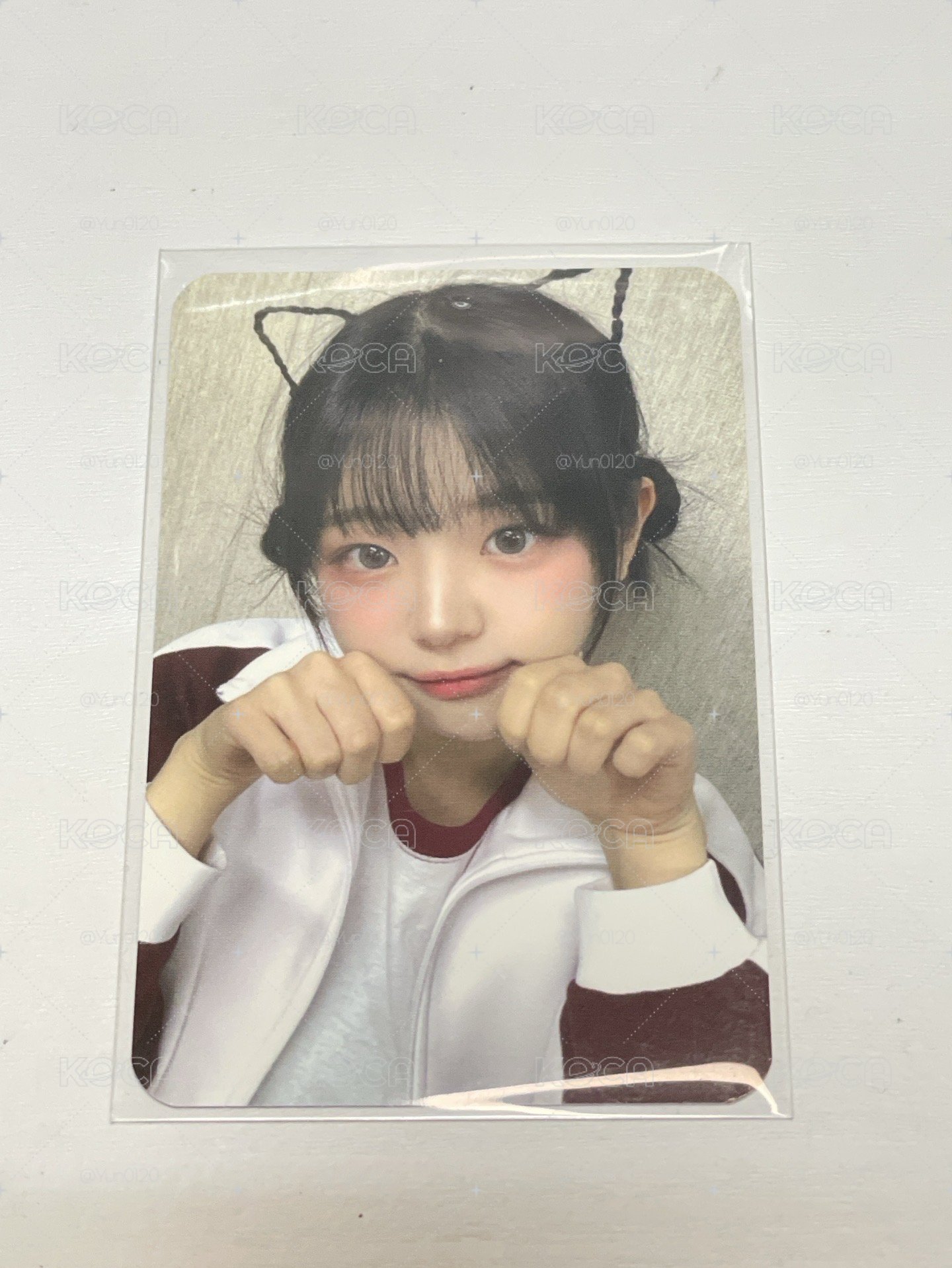 迷一 Kpopstore 末簽 5.0  簽售卡 貓咪