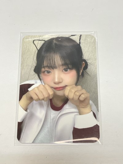 迷一 Kpopstore 末簽 5.0  簽售卡 貓咪