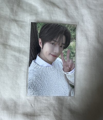 都是崔杋圭