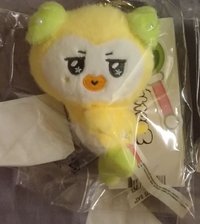 琦（無卡）