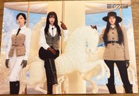 24蛋巡 明信片 大卡46 團體