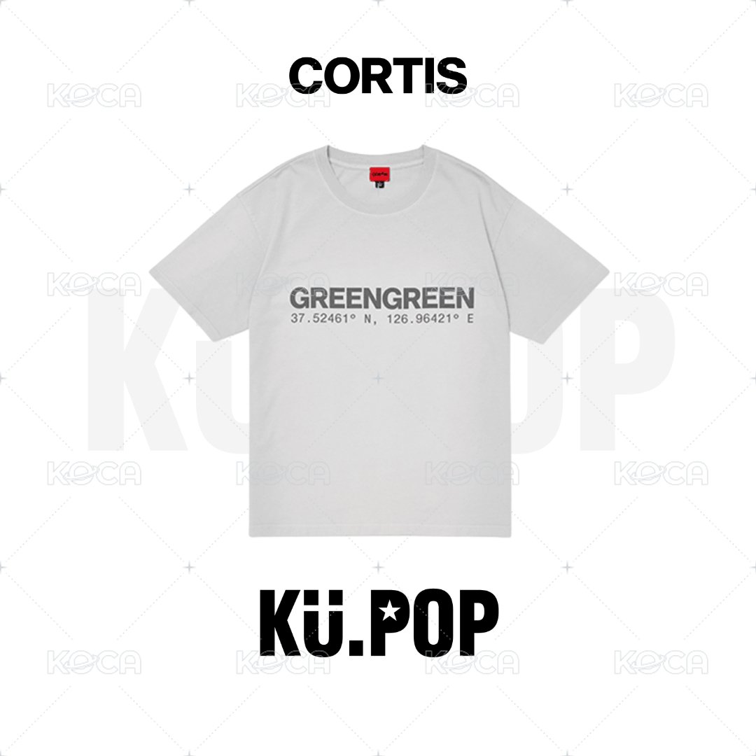 T-SHIRT 灰色 M