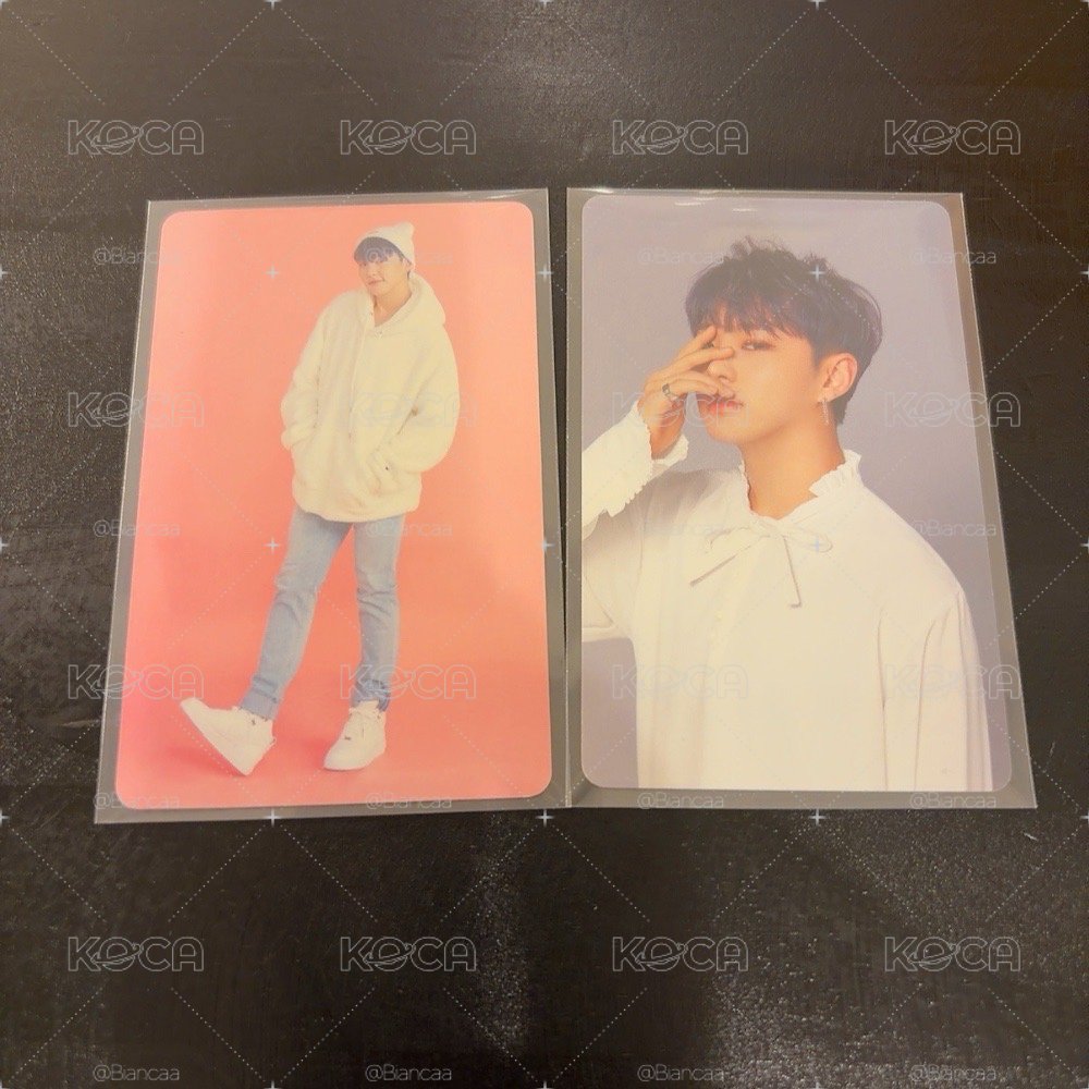seventeen 2018克拉島 鐵盒卡 Hoshi 榮