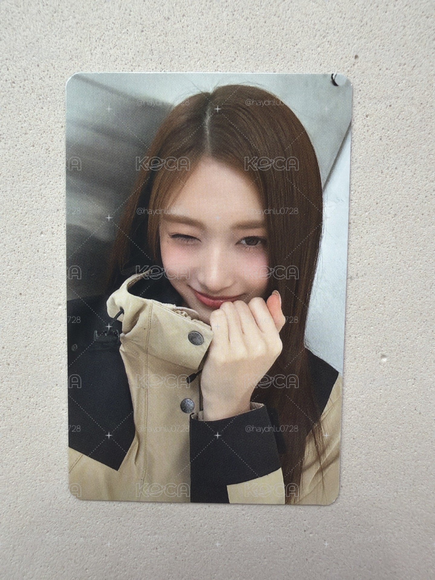 現貨當日出貨/LEESEO x THE NORTH FACE 2.0 代言卡 瑞