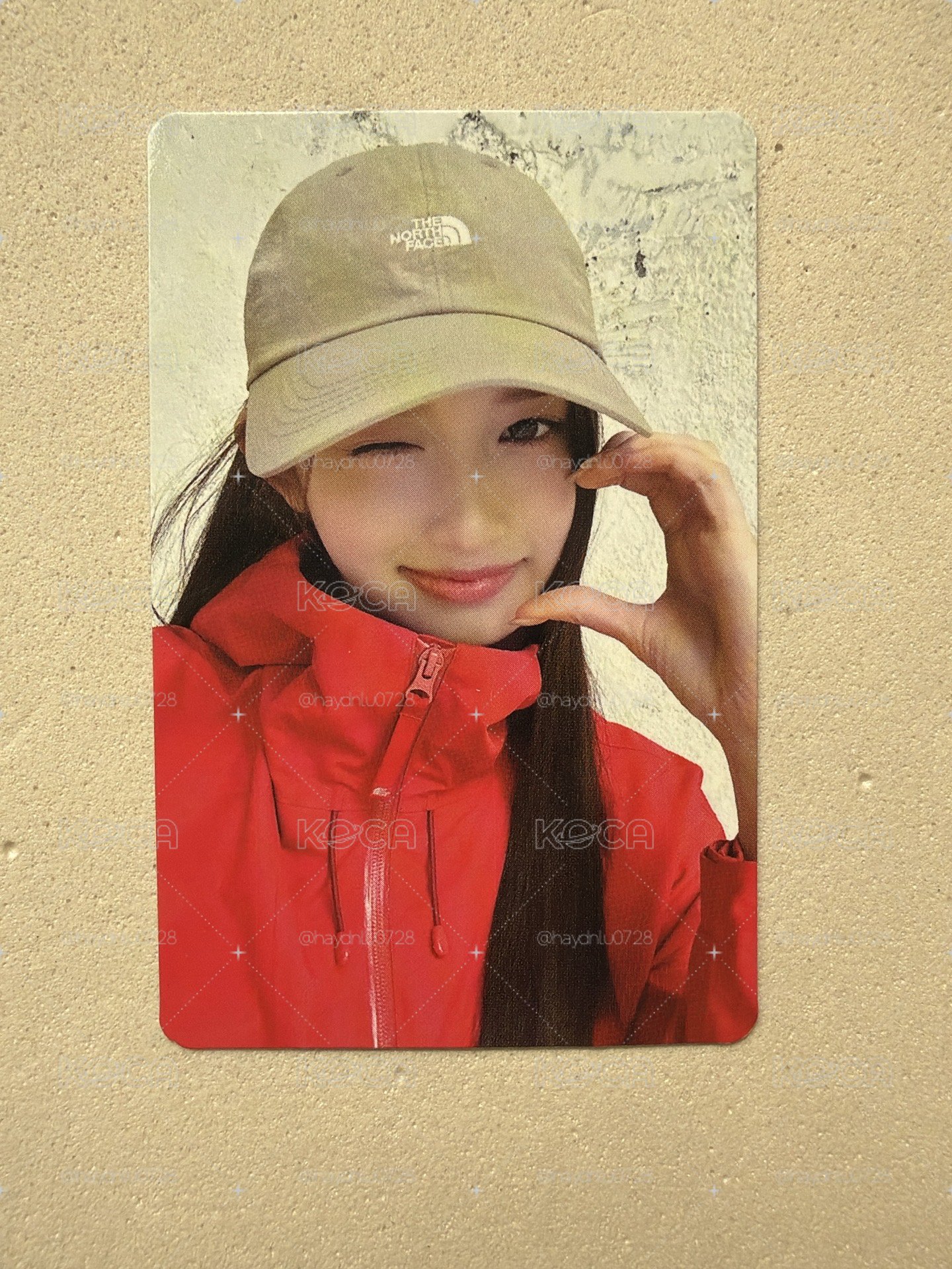 現貨當日出貨/LEESEO x THE NORTH FACE 2.0 代言卡 瑞