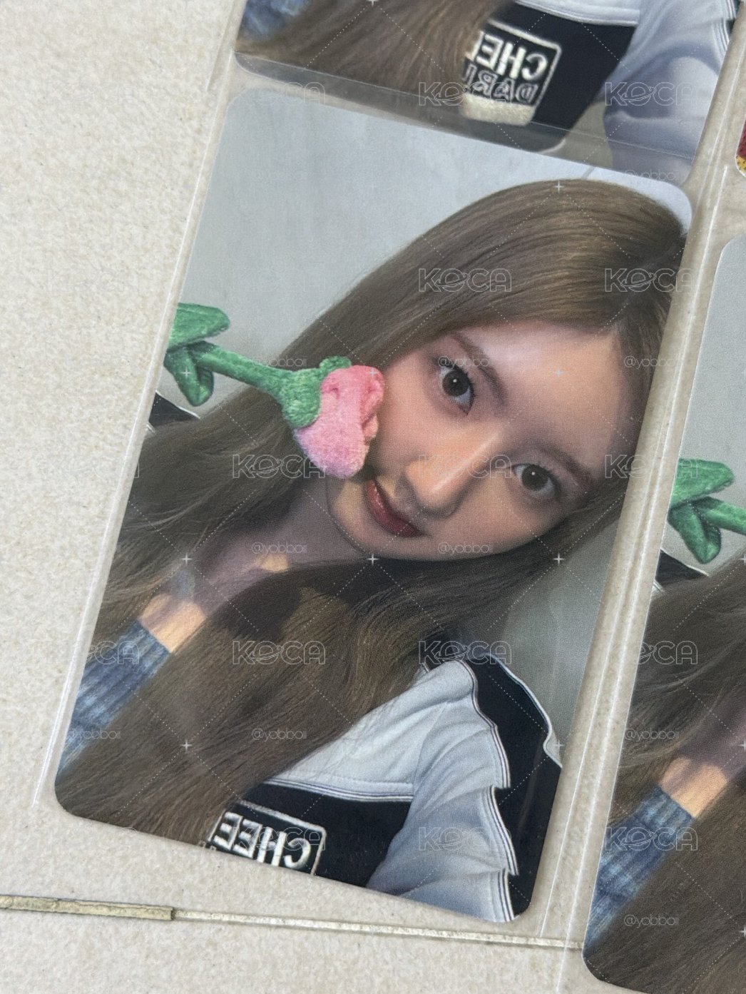 玫瑰小藍