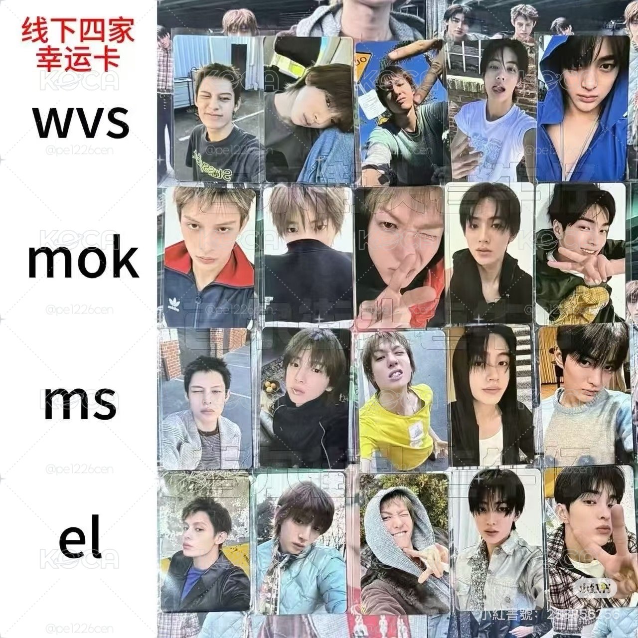 迷二馬丁小卡
