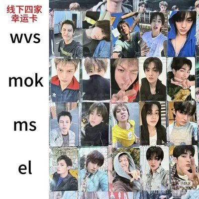 迷二馬丁小卡