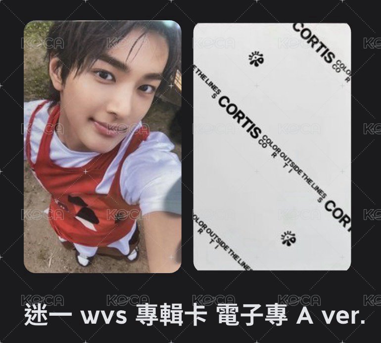 A版電子專 鎬