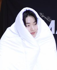 토마토🍅