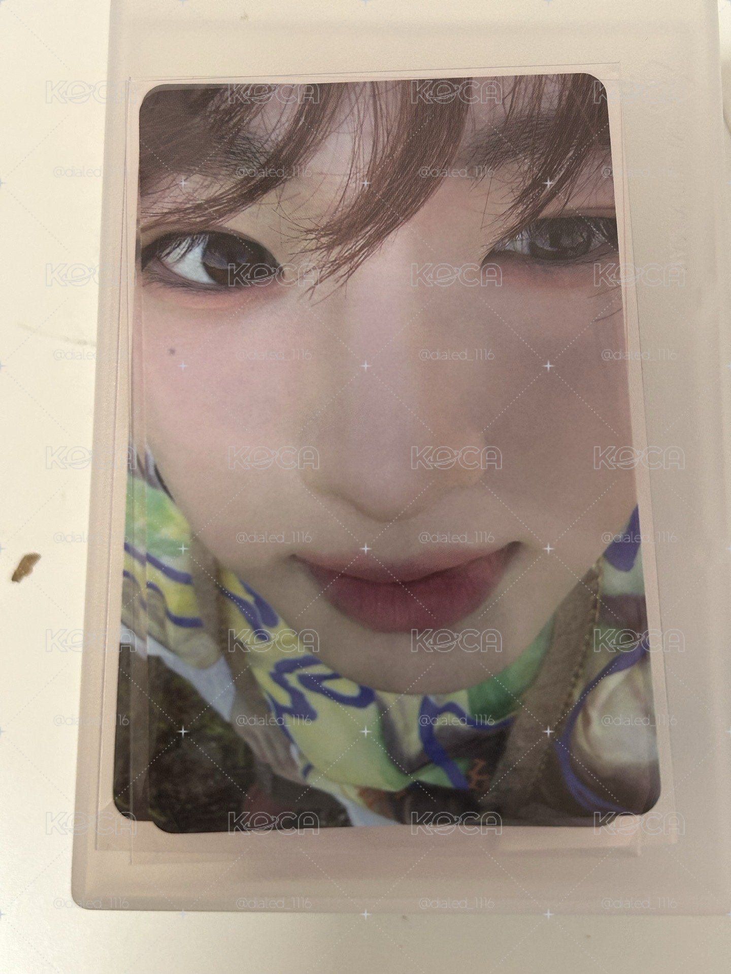 藤永咲哉color專卡