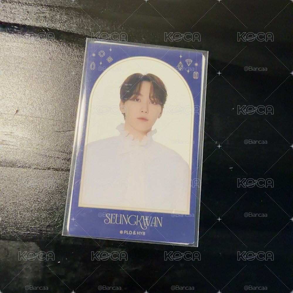 seventeen 2024 museum 透卡A 寛