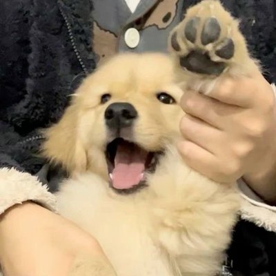 《綁物區》