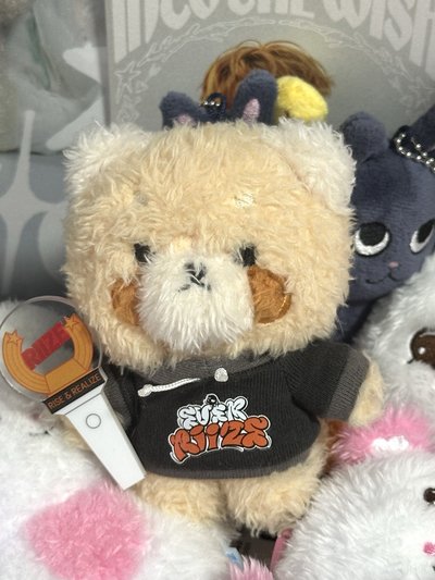 RIIZE 愛寶樂園娃娃