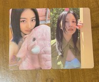 可愛效咪