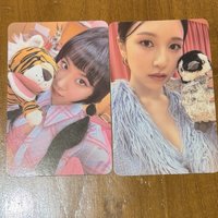 企鵝咪+老虎彩