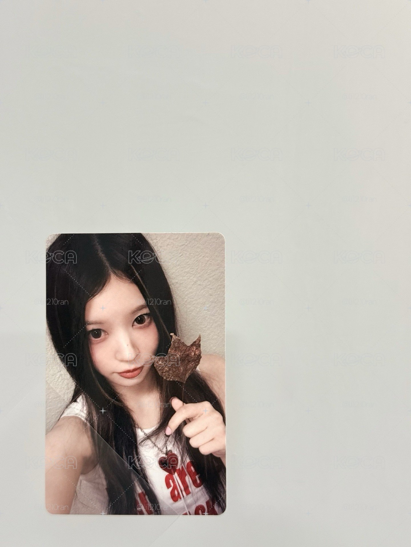 MOKA 單曲一輯 一直娛特典卡楓葉VER.