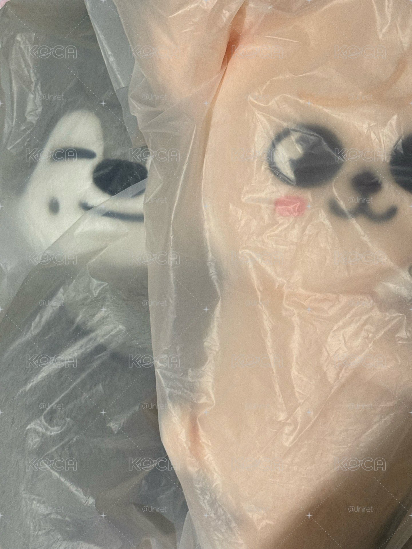 側背娃全新犬科