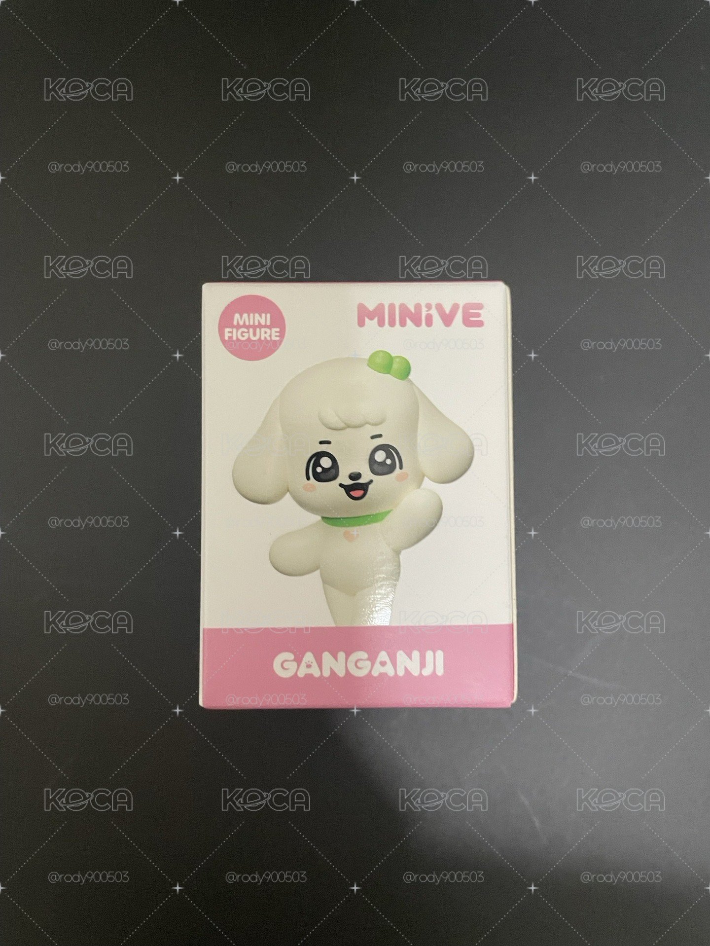 MINIVE SCHOOL 模型 GANGANJI 安狗狗小公仔