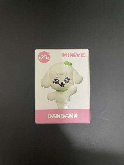 MINIVE SCHOOL 模型 GANGANJI 安狗狗小公仔