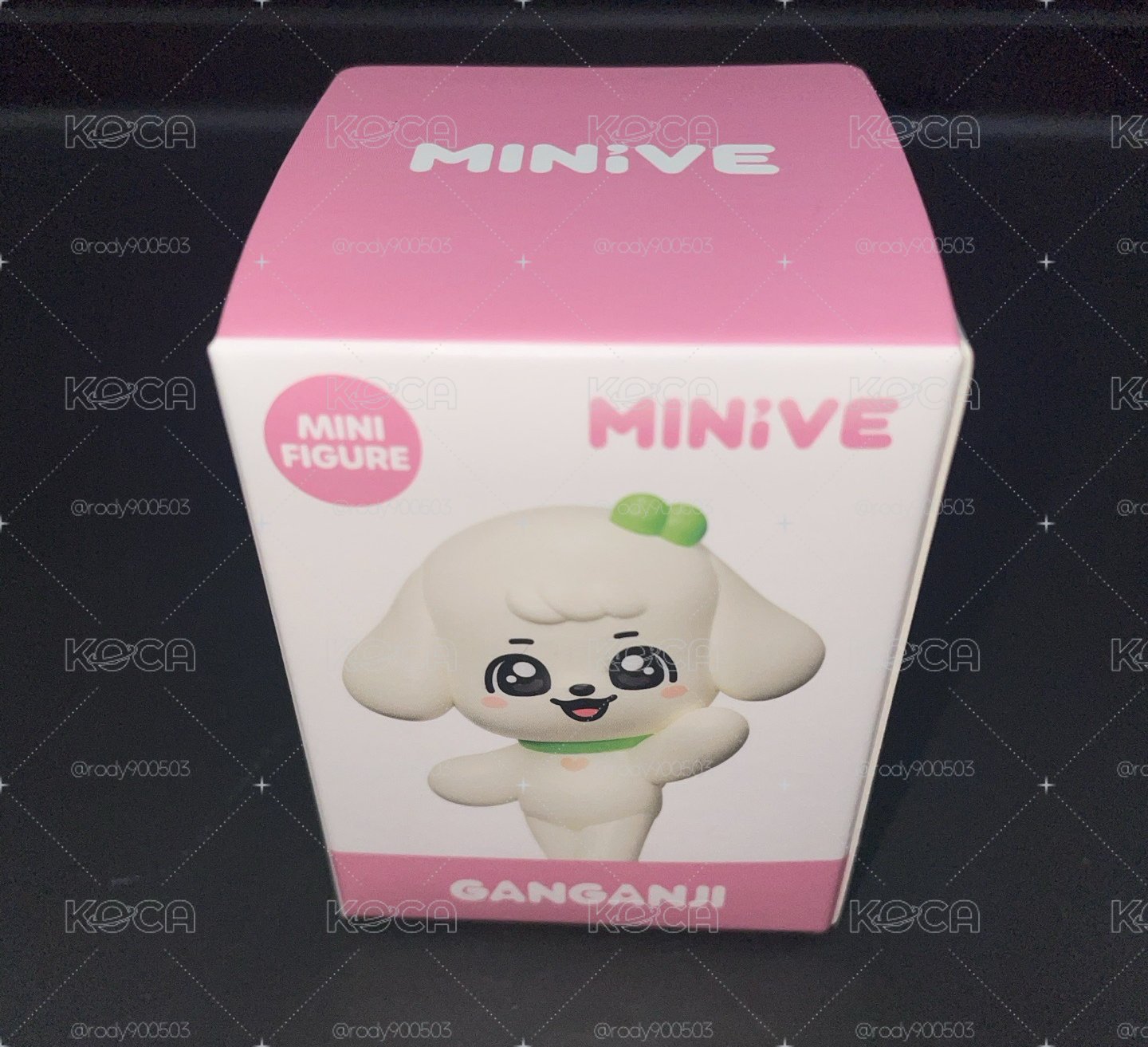 MINIVE SCHOOL 模型 GANGANJI 安狗狗小公仔