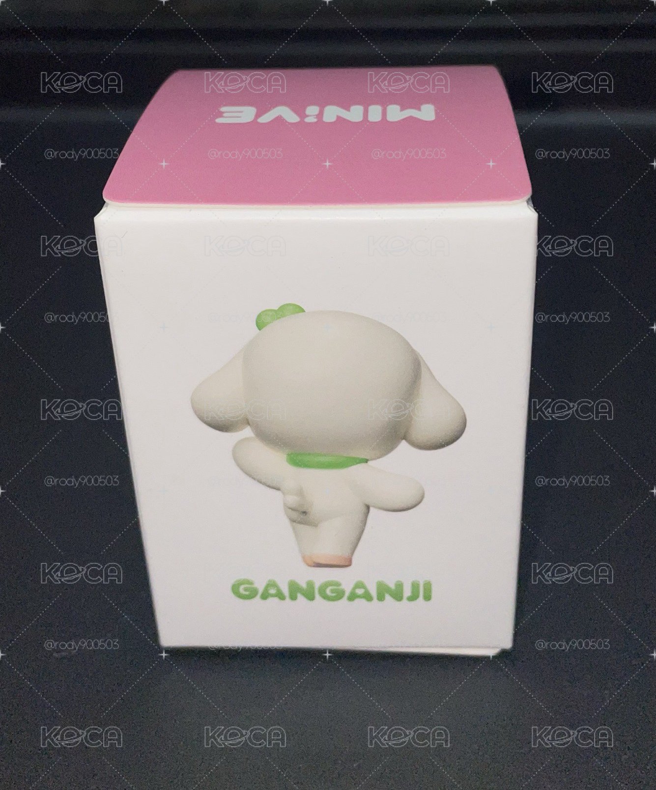 MINIVE SCHOOL 模型 GANGANJI 安狗狗小公仔