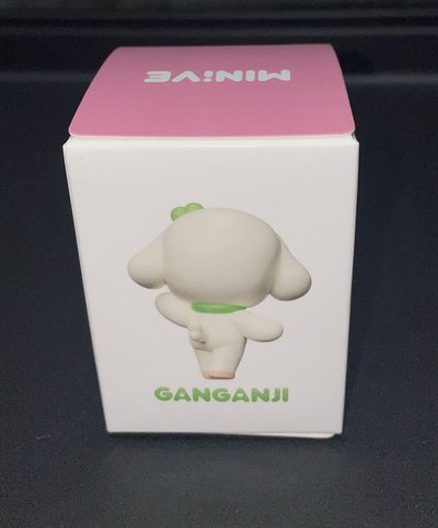 MINIVE SCHOOL 模型 GANGANJI 安狗狗小公仔