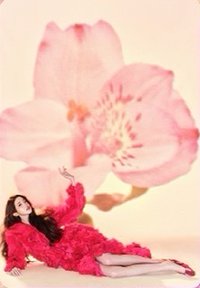 紅秀 雜誌卡 