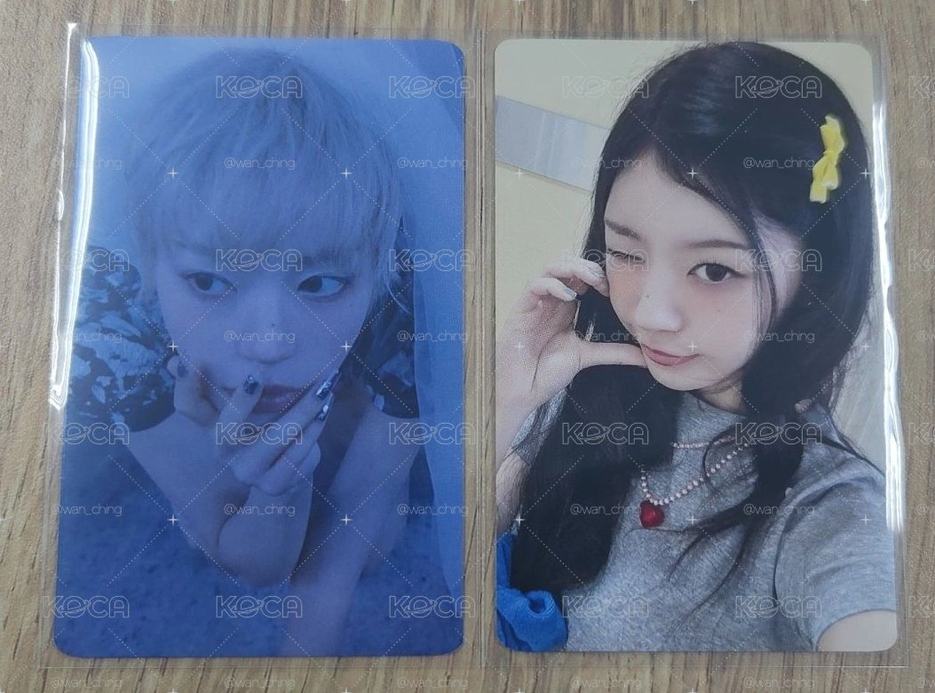 MAMIHLAPINATAPAI tsutaya 幸運卡+預售卡(現貨)