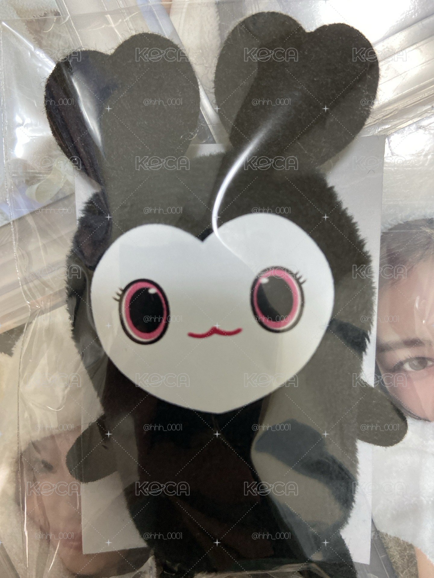 新國立入場禮 指娃