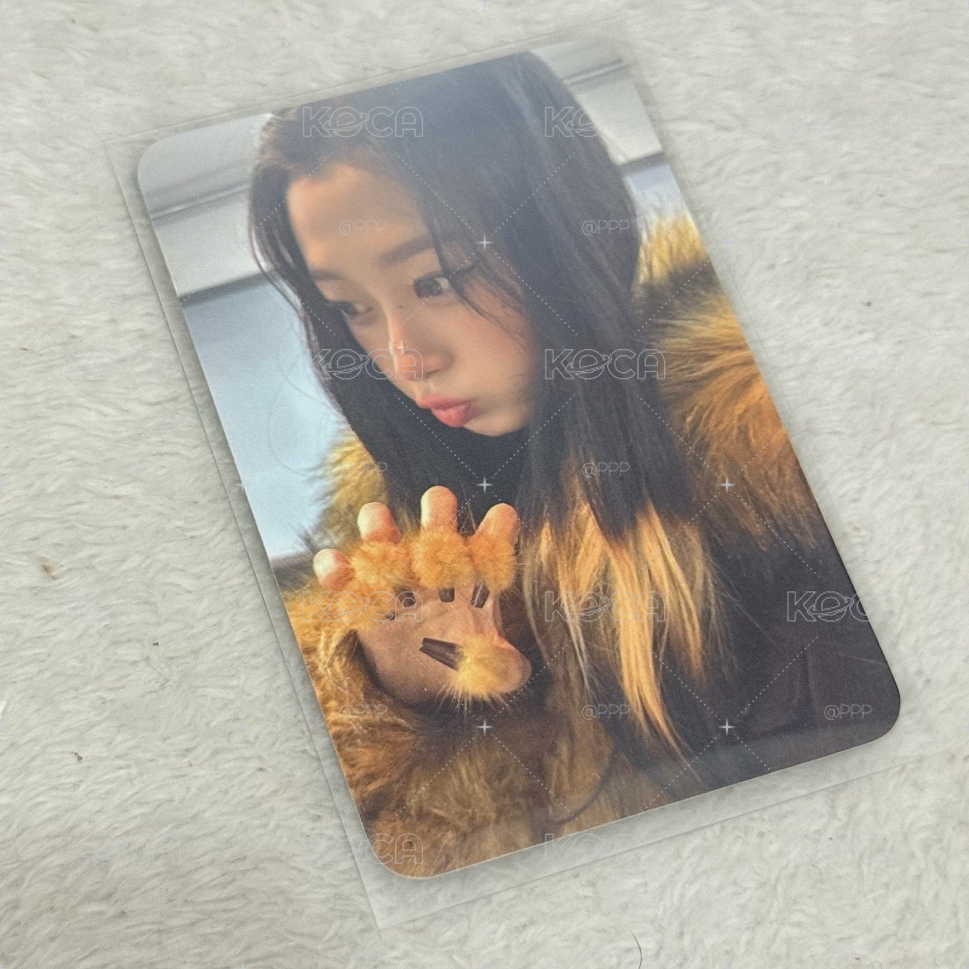 Drama sr星河預售 中文卡背 小博美吉