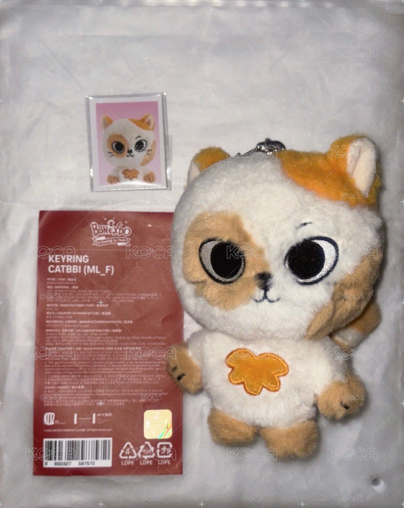 二代 CATBBI