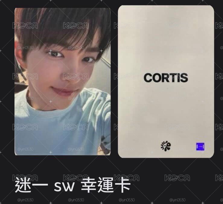 sw鎬