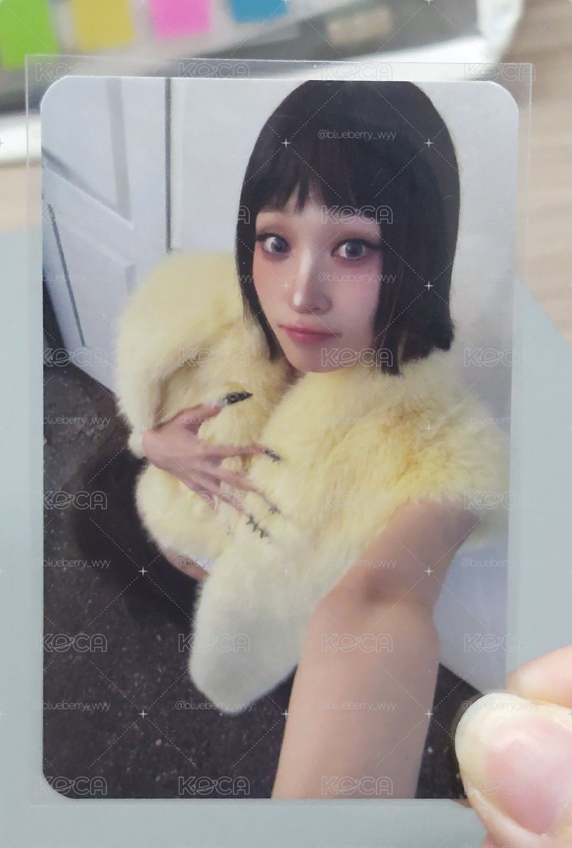 安妮 簽售卡
