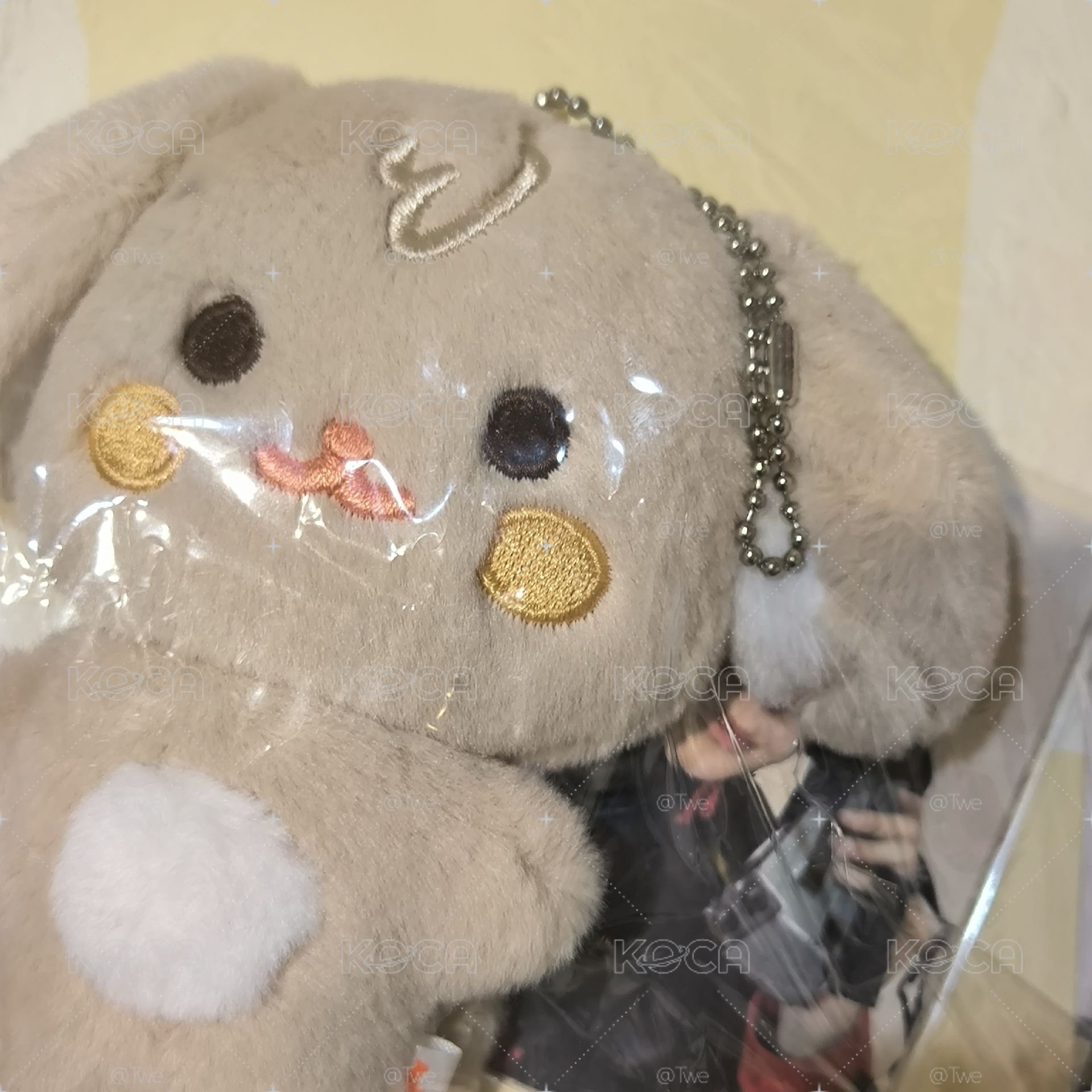 💛豆豆眼娃 全新未拆