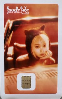 NAMANE 25’仁川場巡迴 交通卡 