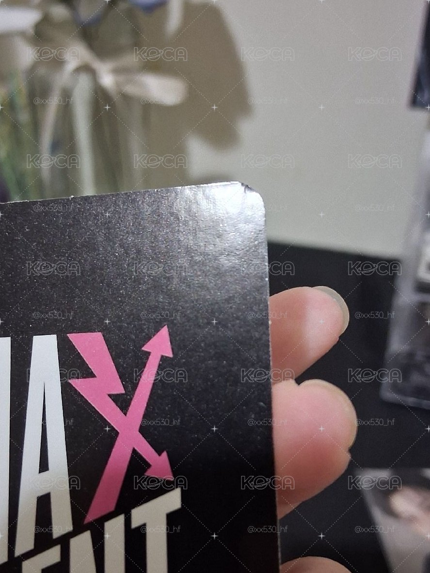 SKZ MAX yzy辰菲 標價兩張