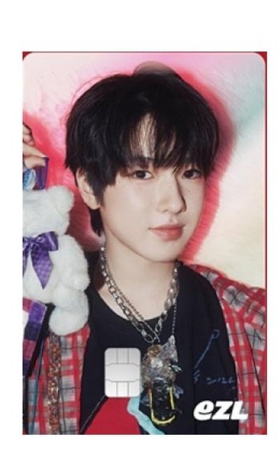 nct wish 2024 steady 交通卡
