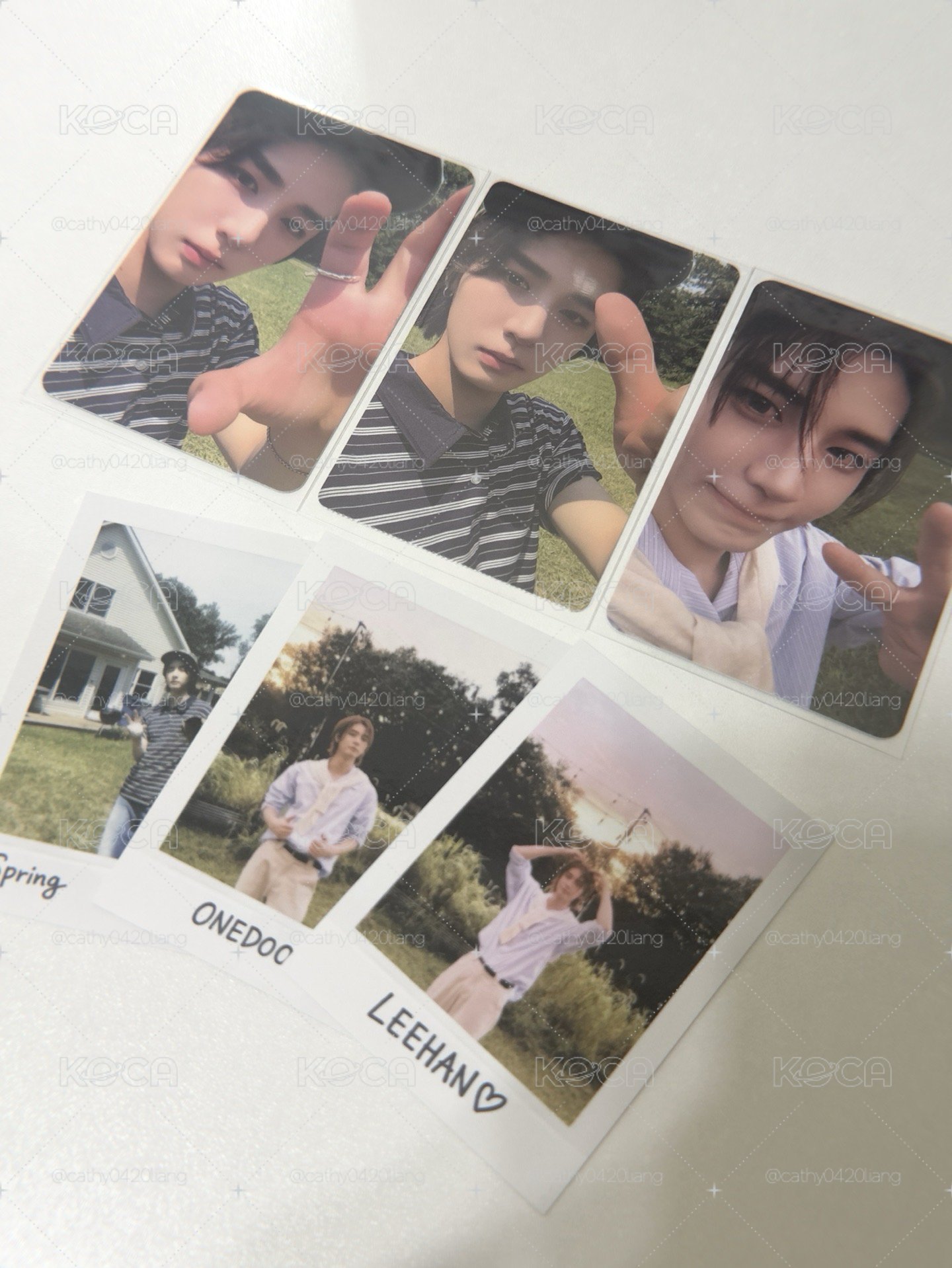 芝加哥回憶錄LEEHAN