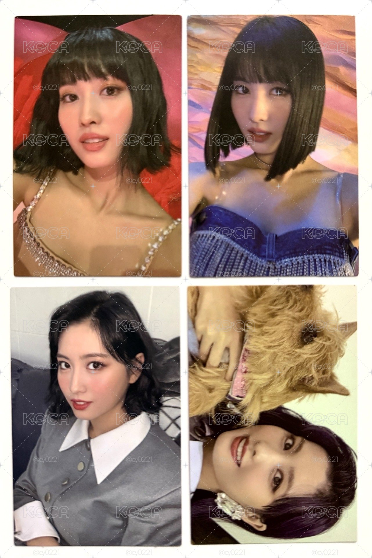 正規二 Momo 四張