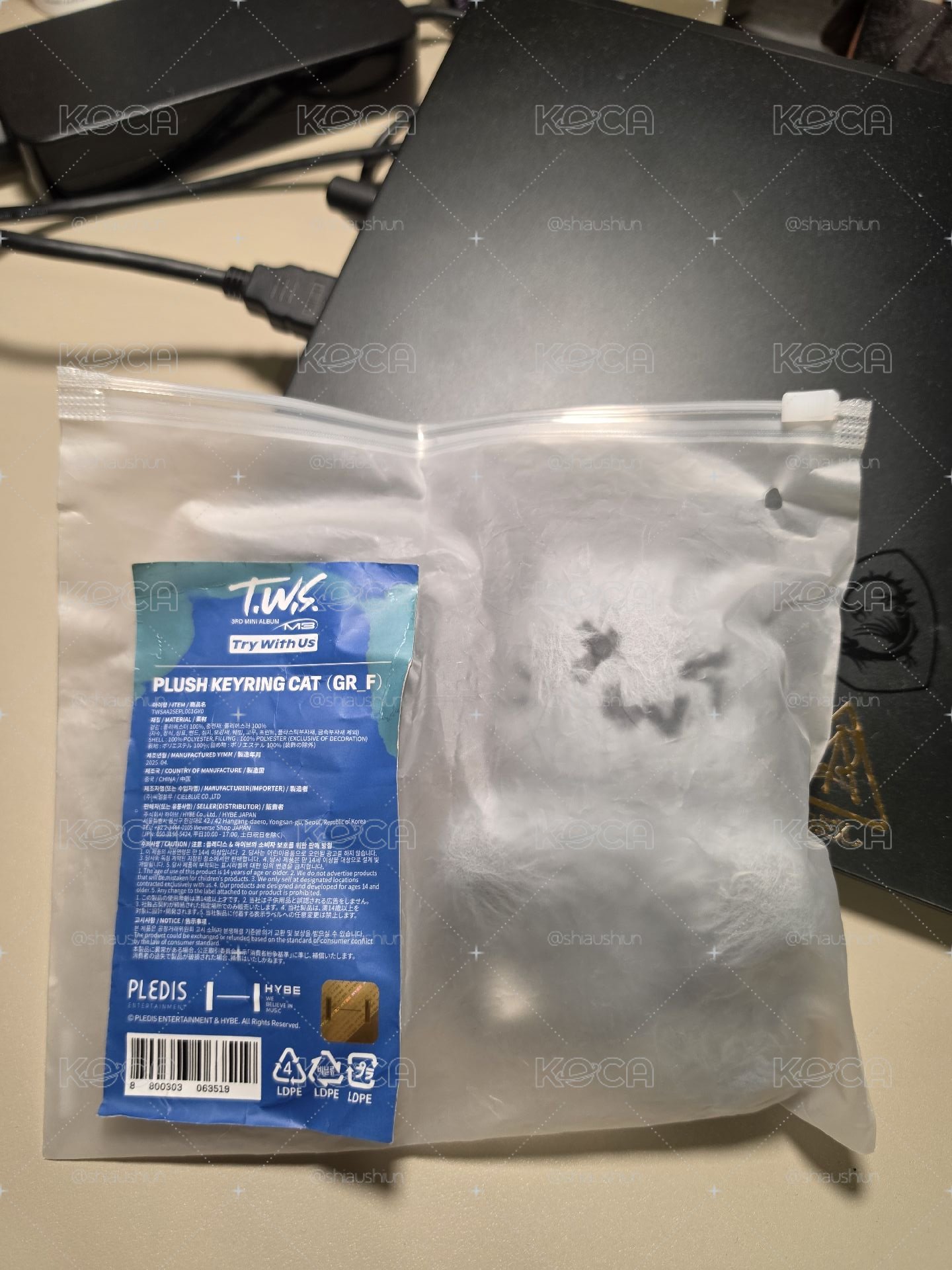 灰貓娃