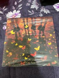 迷三C版(無小卡、無CD)