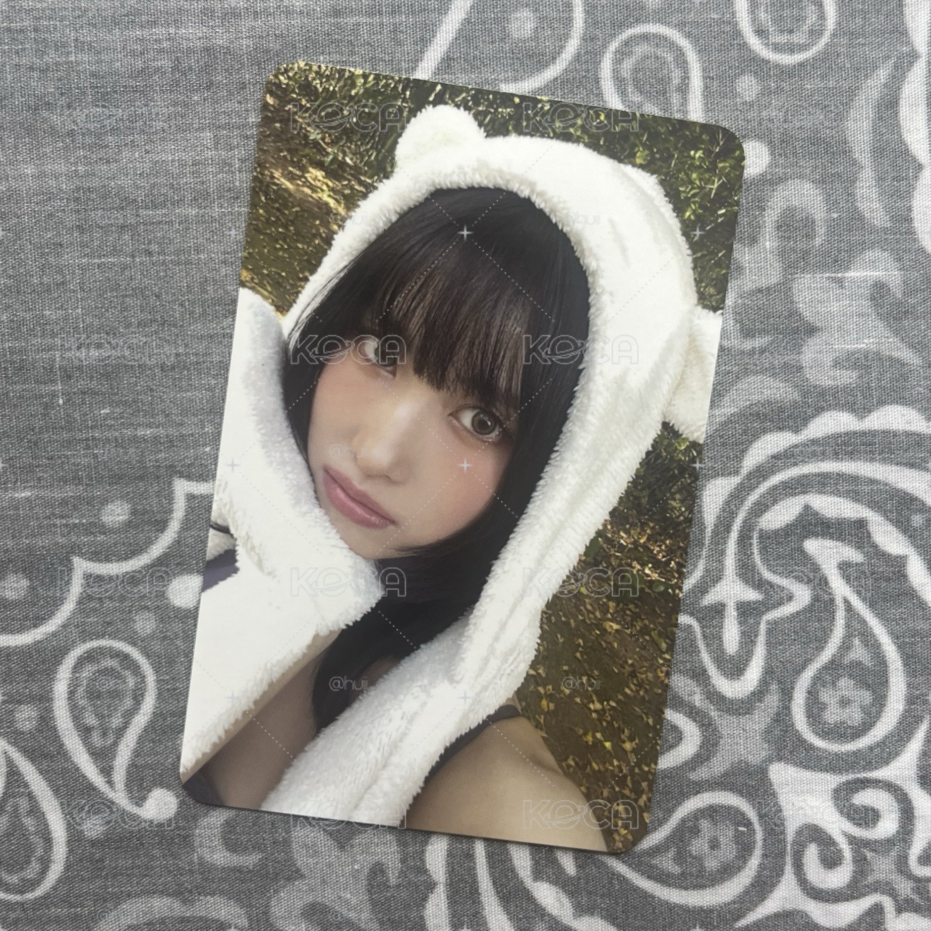 熊帽桃 迷13 PB 專輯卡 Forever ver.