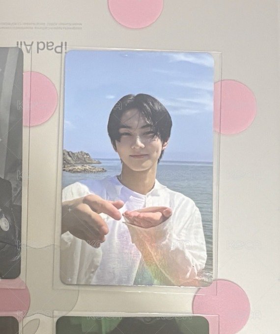🏝️元（損）