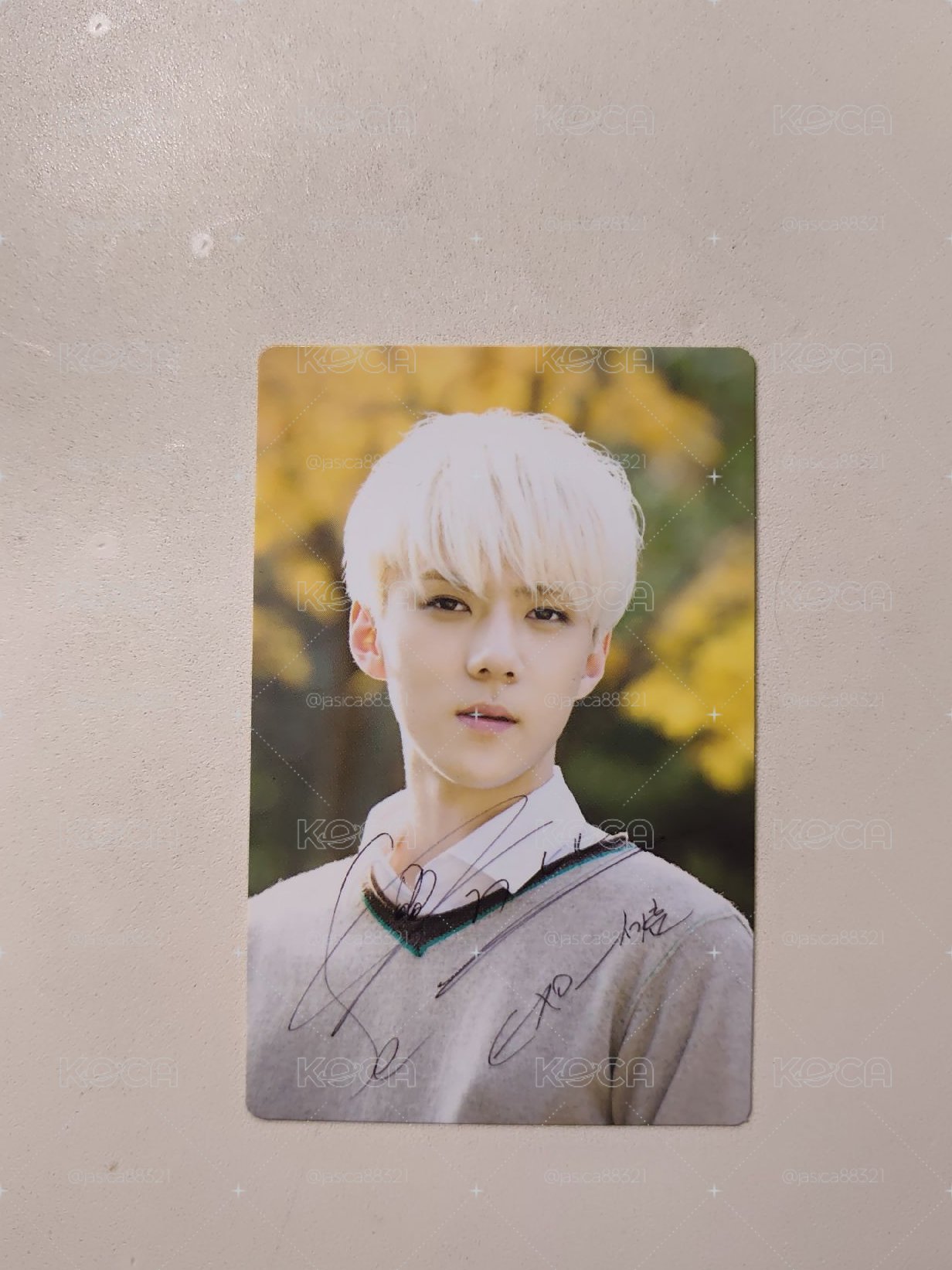 EXO 世勳 nature republic 小卡